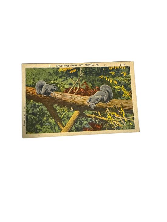 American Vintage Other - Vintage Nature Mt. Gretna PA Postcard With 2 Rare Washington 1 cent stamps